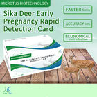 Sika Deer 早期妊娠 迅速検出 カード サプライヤー