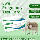 羊 の 早期 妊娠 検査 カード の 指示 サプライヤー