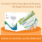 鶏の感染性バルス病 迅速検出カード サプライヤー
