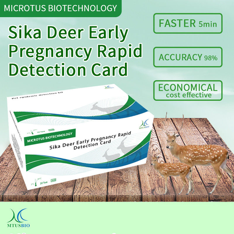 Sika Deer 早期妊娠 迅速検出 カード サプライヤー