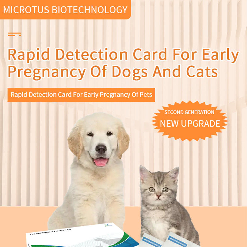 犬や猫の早期妊娠検査カードの説明書 サプライヤー