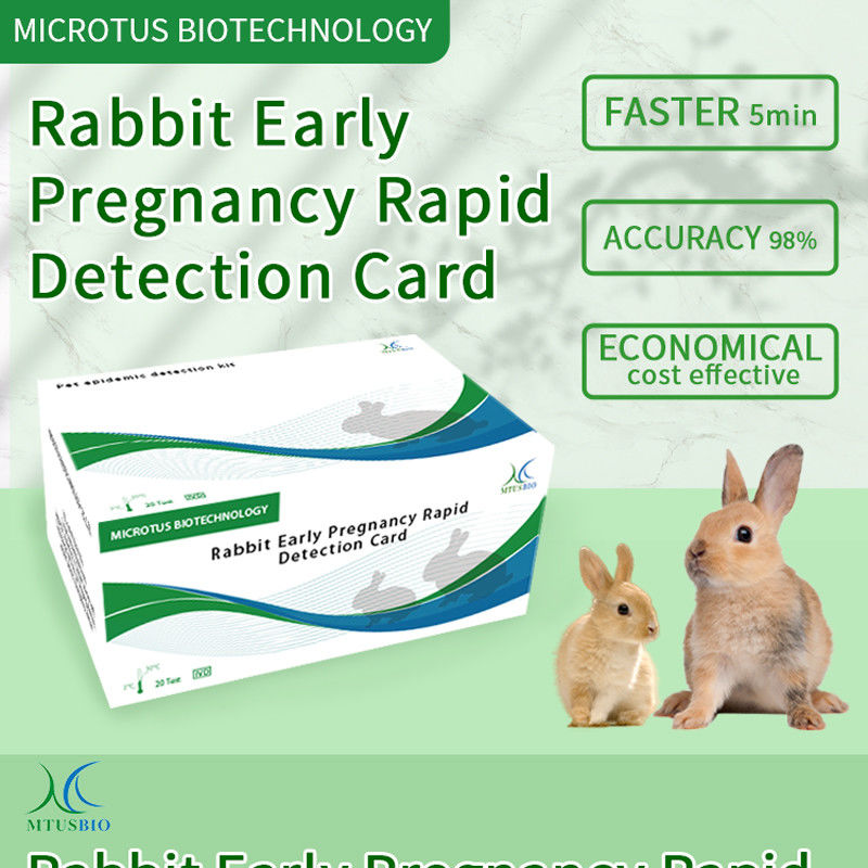 ウサギ 早期妊娠 迅速検出カード 製品説明書 サプライヤー