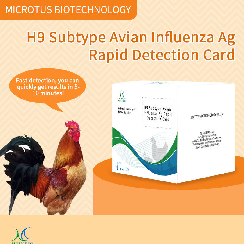 鳥インフルエンザ (H9) サブタイプ抗原の急速検査カード サプライヤー