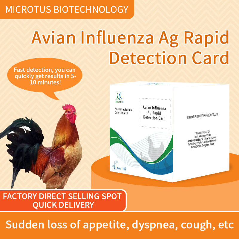 鳥インフルエンザウイルス抗体迅速検査カード サプライヤー